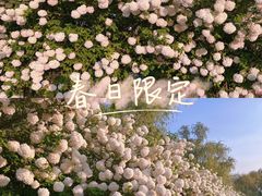 -漕湖湿地公园