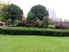 -成都工业学院(郫都校区)