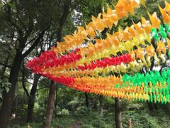 -石燕湖生态旅游景区