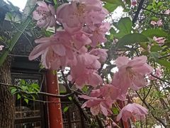 -观唐（国际）度假村温泉