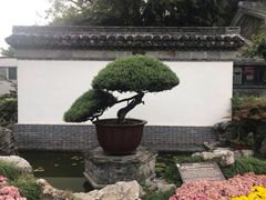 -水绘园