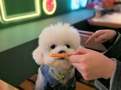 -沪小胖·小龙虾·蓝龙王(八佰伴店)