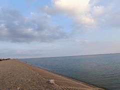 -碧海金沙