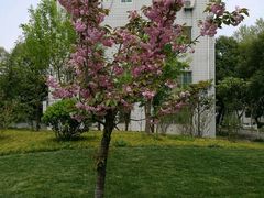 -西安交通大学(雁塔校区)