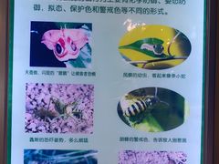 -上海昆虫博物馆