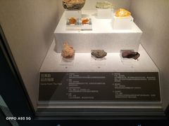 -湖南省地质博物馆