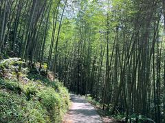 -千泷沟大瀑布旅游区