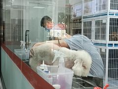 -宠物家(大兴旧宫店)