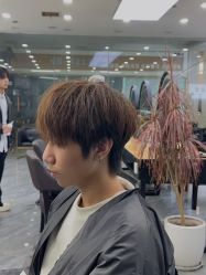 点击看大图 -藤野造型