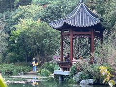 -云溪植物园