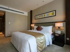 -深圳湾科技园丽雅查尔顿酒店