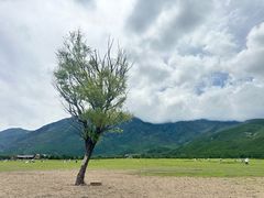 -玉湖村
