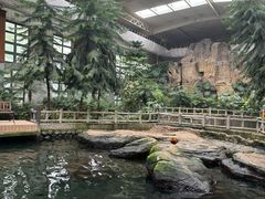 -南宫五洲植物乐园