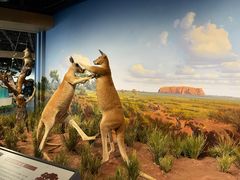 -陕西自然博物馆