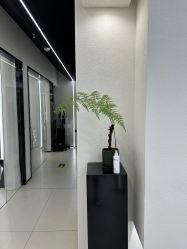 -FINE HAIR 烫染专业设计