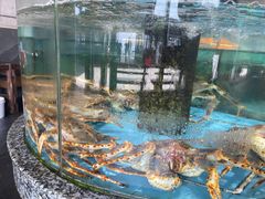 -天然居·漳港海鲜·海景餐厅(南澳总店)