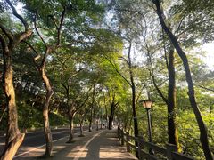 -广州市白云山风景名胜区