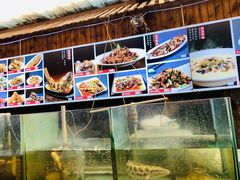 -巩本明鱼屋子