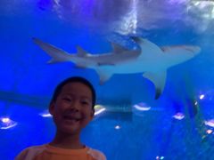 -华夏文旅海洋公园