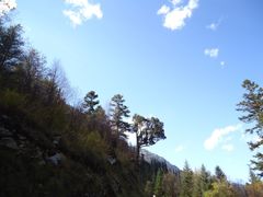 -常熟路(地铁站)