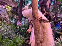 -正佳雨林生态植物园
