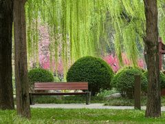 -唐城墙遗址公园