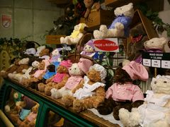 -济州岛泰迪熊博物馆