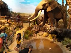 -陕西自然博物馆