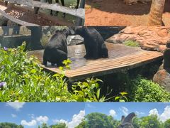 -海南热带野生动植物园