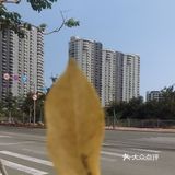 走走着走着就到了，这里碧桂园就在这旁边这里的空气很不错