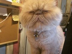 -小时光咖啡馆(开森度假森林店)