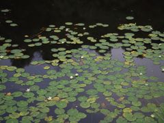 -小格里自然风景区