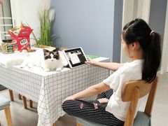 -Bastet sally猫舍购宠(静安店)