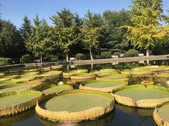 -石家庄市植物园