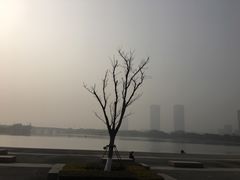 -尚贤河湿地