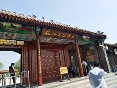-白洋淀景区