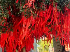 -东钱湖旅游度假区