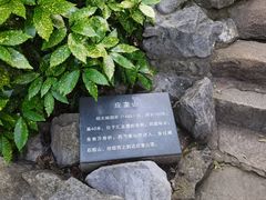 -汇龙潭