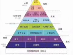 -金色雨林感统训练·专注力·语言认知·心理沙盘(天通苑校区)