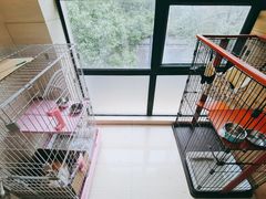 -顽皮家族宠物医院(浦东北园路分院)