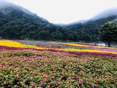 -广州市石门国家森林公园