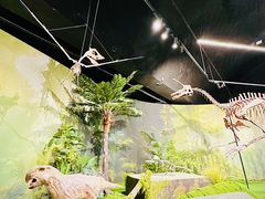 -遇见博物馆(遇见海洋沉浸式奇幻光影展)