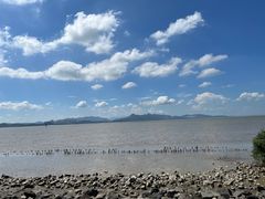 -深圳湾公园(南山区)