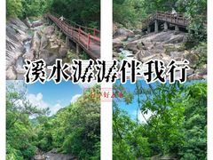 -广州白江湖森林公园