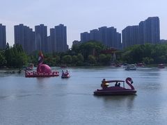 -青枫公园