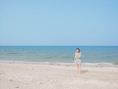 -贝壳沙滩