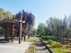-永定河休闲森林公园