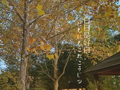 景点-春晖园度假酒店温泉