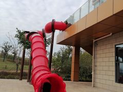 -九龙湖公园