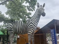 -西霞口神雕山野生动物世界
